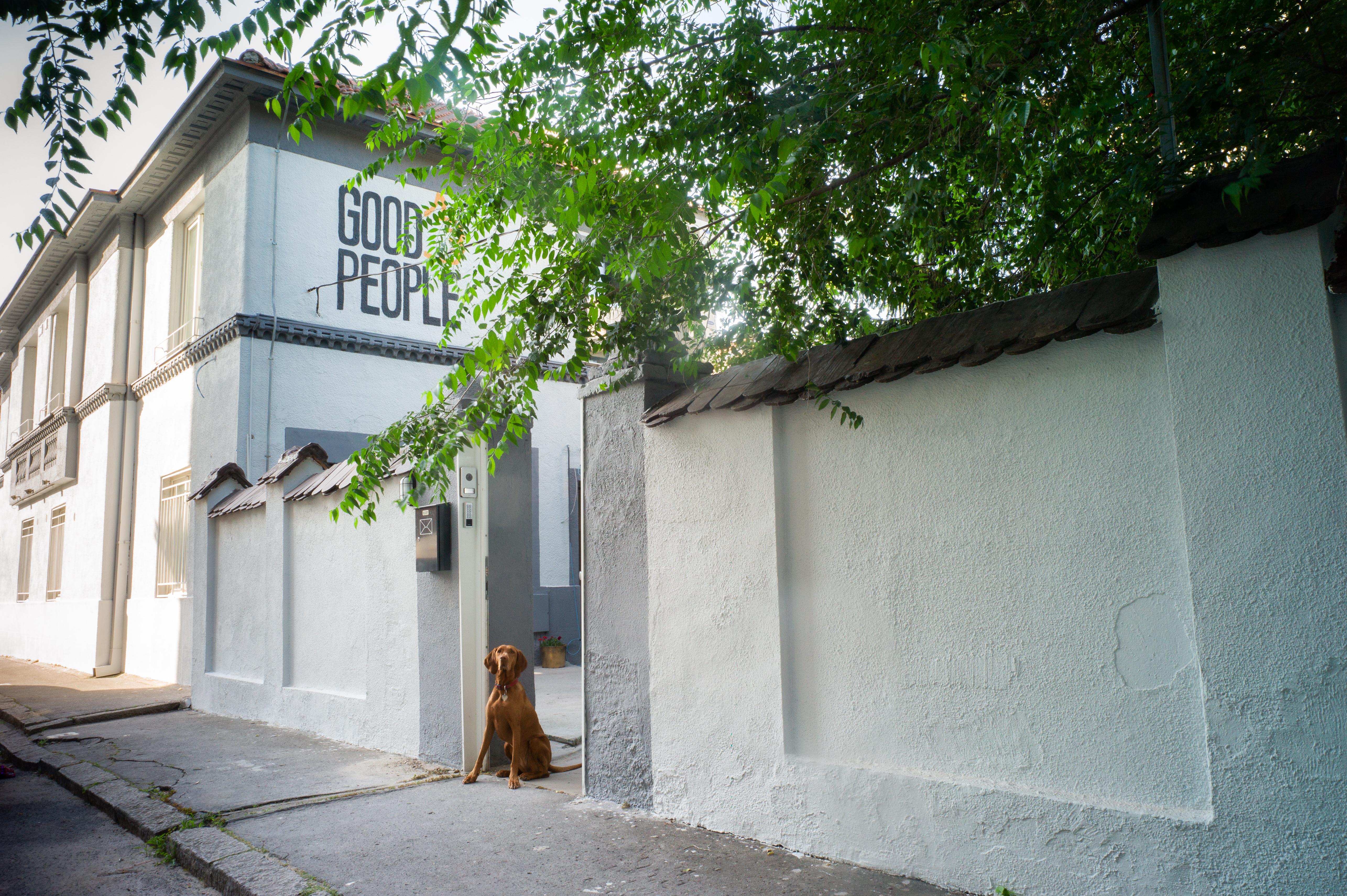 Good People Design Hostel Beograd Eksteriør billede